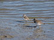St. Augustine - Jan 2012 063